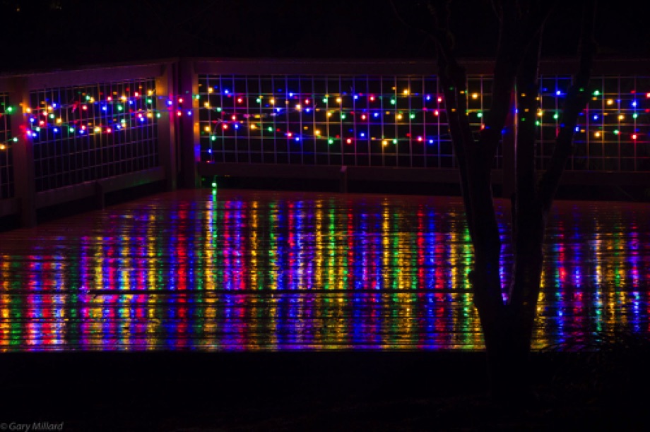 Christmas Lights - Reflections 1
Tigard  OR